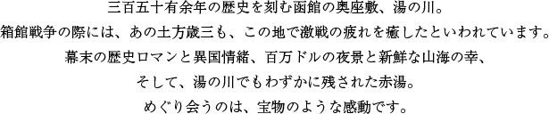 三百五十有余年の歴史を刻む函館の奥座敷、湯の川。箱館戦争の際には、あの土方歳三も、この地で激戦の疲れを癒したといわれています。幕末の歴史ロマンと異国情緒、百万ドルの夜景と新鮮な山海の幸、そして、湯の川でもわずかに残された赤湯。めぐり会うのは、宝物のような感動です。